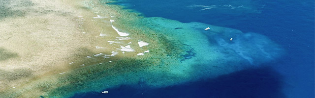 Diving in Palau