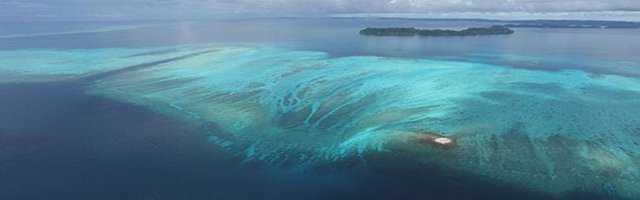 Diving in Palau