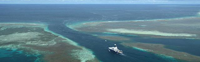 Diving in Palau